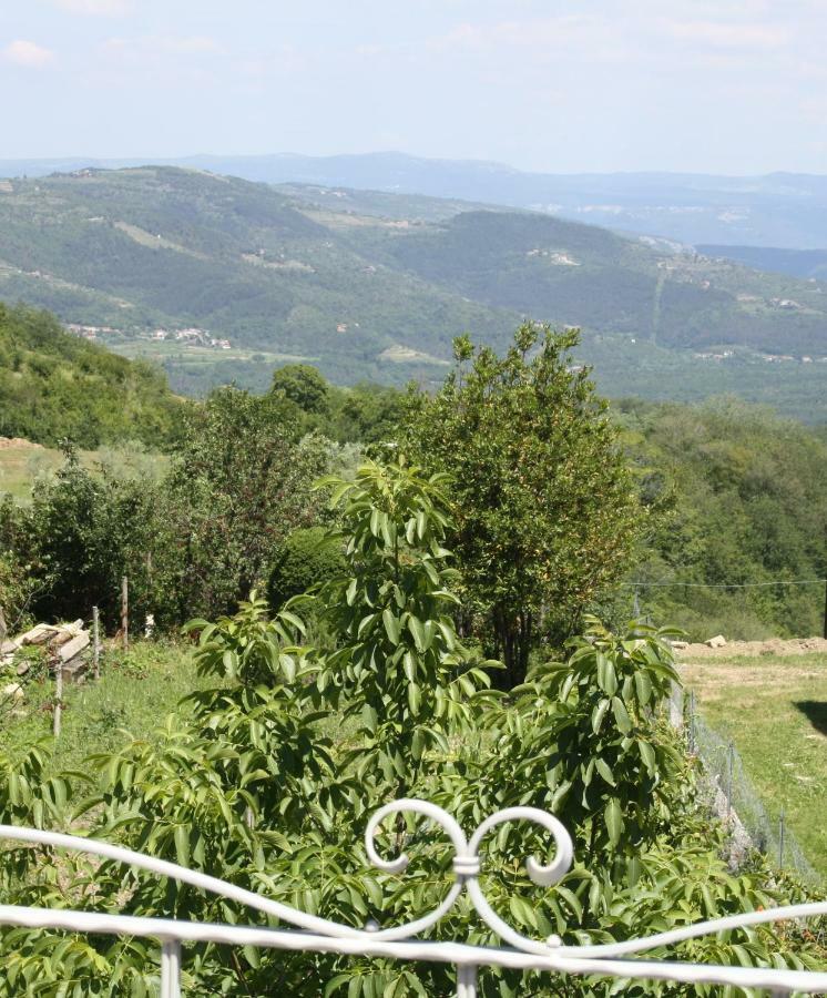 Terra Mirna Villa Vizinada Exterior photo